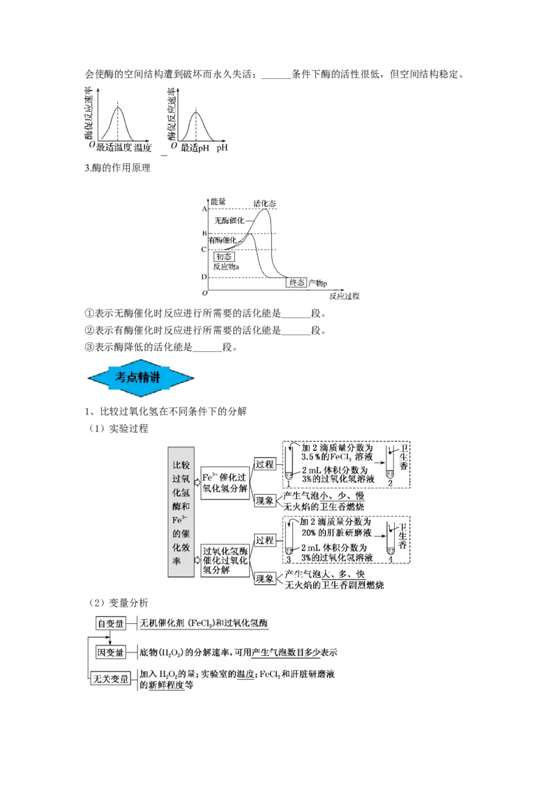 专题07酶和ATP（串讲）（原卷版）_新高考复习资料_2024年新高考复习资料_一轮复习资料_完备战2024年高考生物一轮复习串讲精练（新高考专用）_串讲