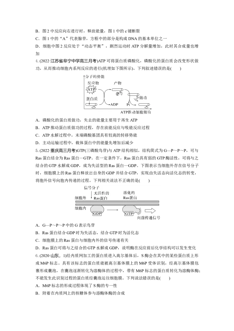 专题07酶和ATP（串讲）（原卷版）_新高考复习资料_2024年新高考复习资料_一轮复习资料_完备战2024年高考生物一轮复习串讲精练（新高考专用）_串讲
