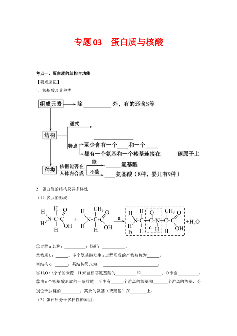 专题03蛋白质与核酸(学生版)_新高考复习资料_2023年新高考复习资料_二轮复习_增分要点2023高考生物二轮复习专题解读和分层训练291073137