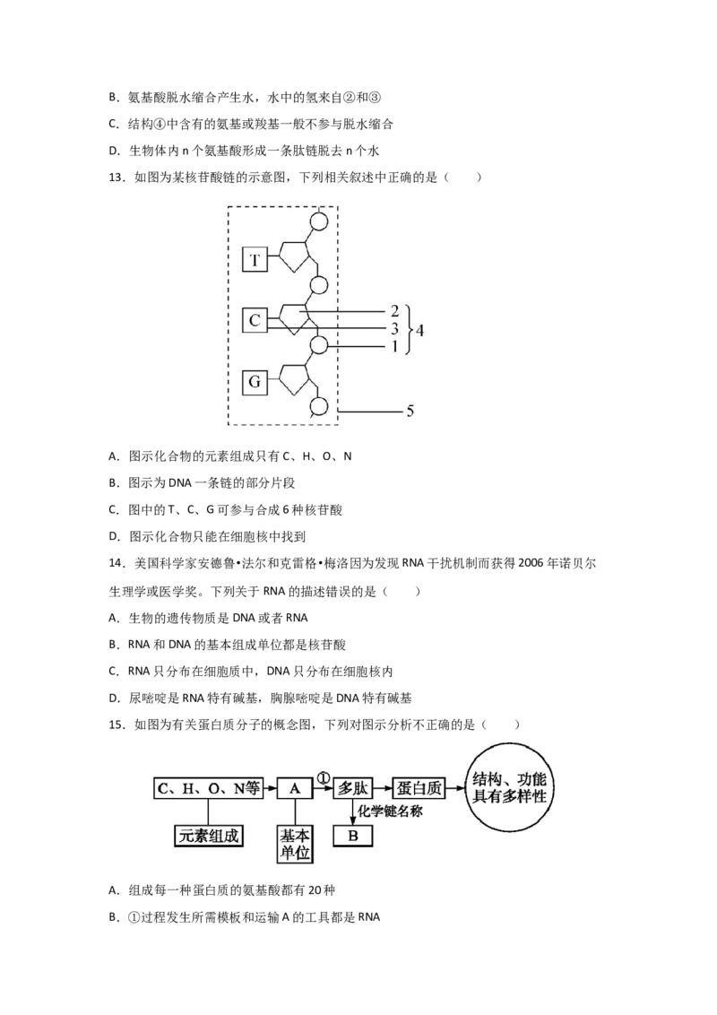 专题03蛋白质与核酸(学生版)_新高考复习资料_2023年新高考复习资料_二轮复习_增分要点2023高考生物二轮复习专题解读和分层训练291073137