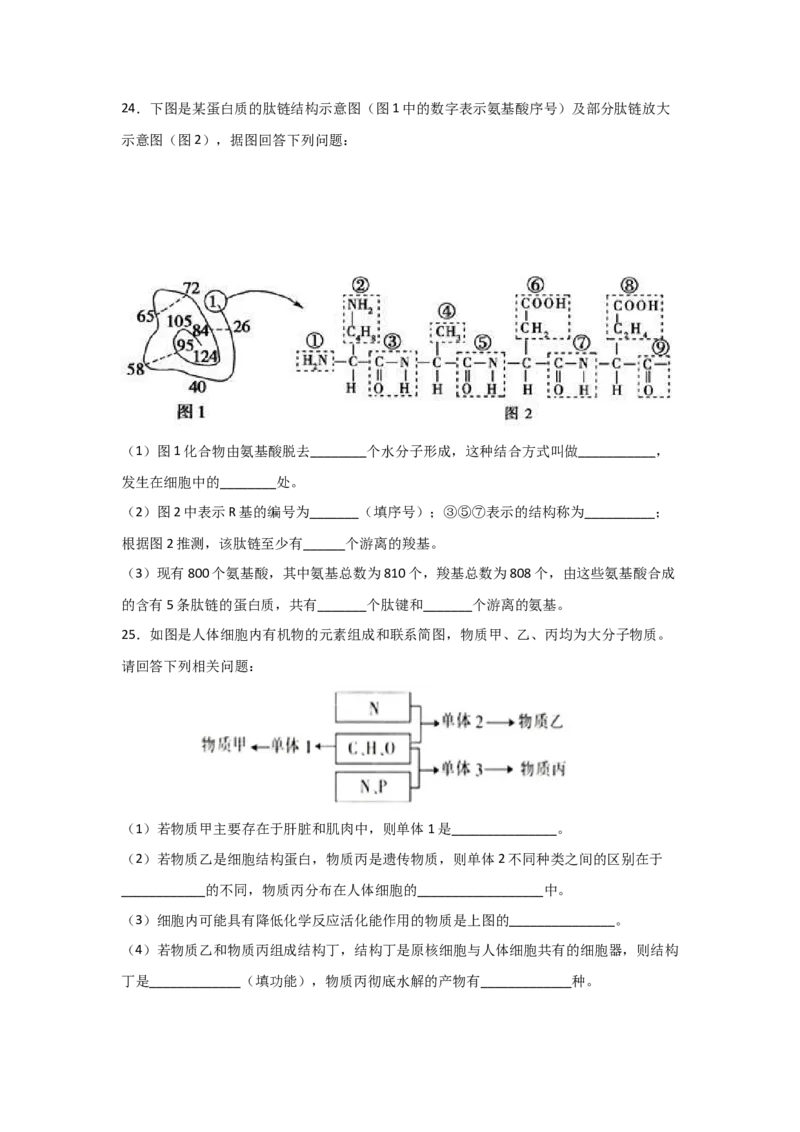 专题03蛋白质与核酸(学生版)_新高考复习资料_2023年新高考复习资料_二轮复习_增分要点2023高考生物二轮复习专题解读和分层训练291073137
