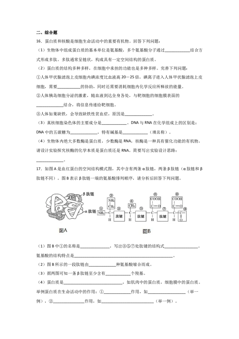 专题03蛋白质与核酸(学生版)_新高考复习资料_2023年新高考复习资料_二轮复习_增分要点2023高考生物二轮复习专题解读和分层训练291073137