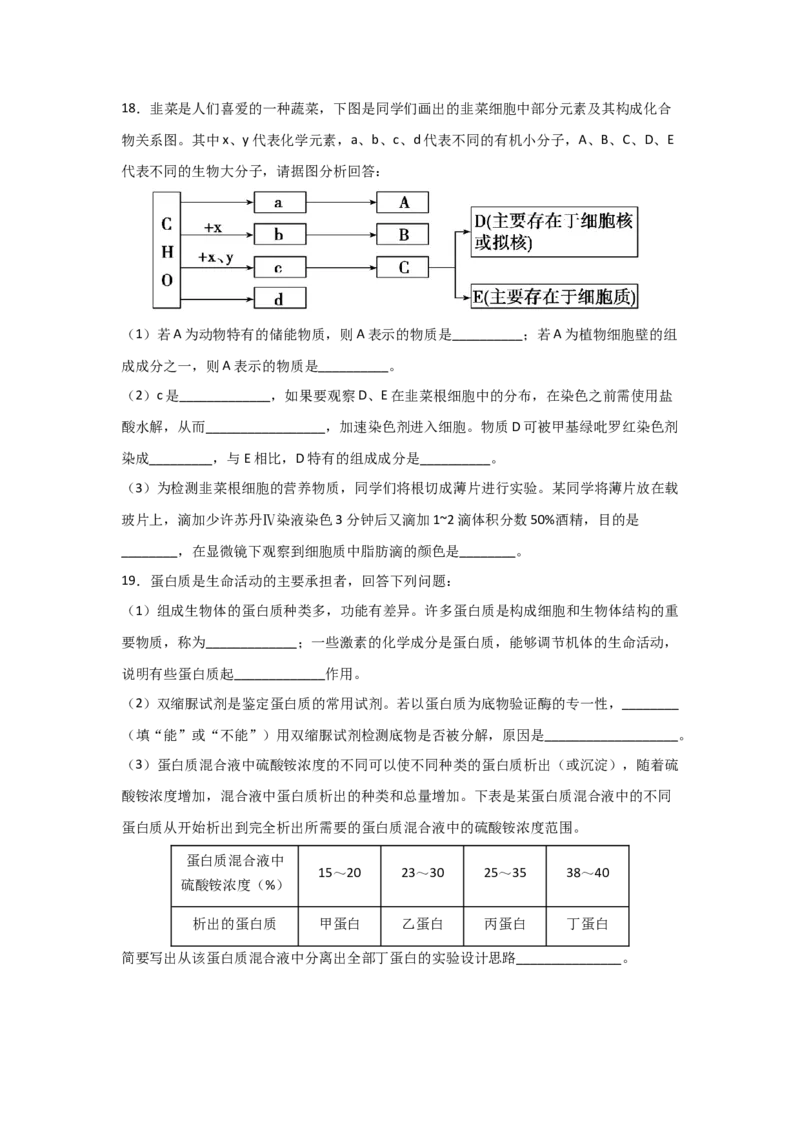 专题03蛋白质与核酸(学生版)_新高考复习资料_2023年新高考复习资料_二轮复习_增分要点2023高考生物二轮复习专题解读和分层训练291073137