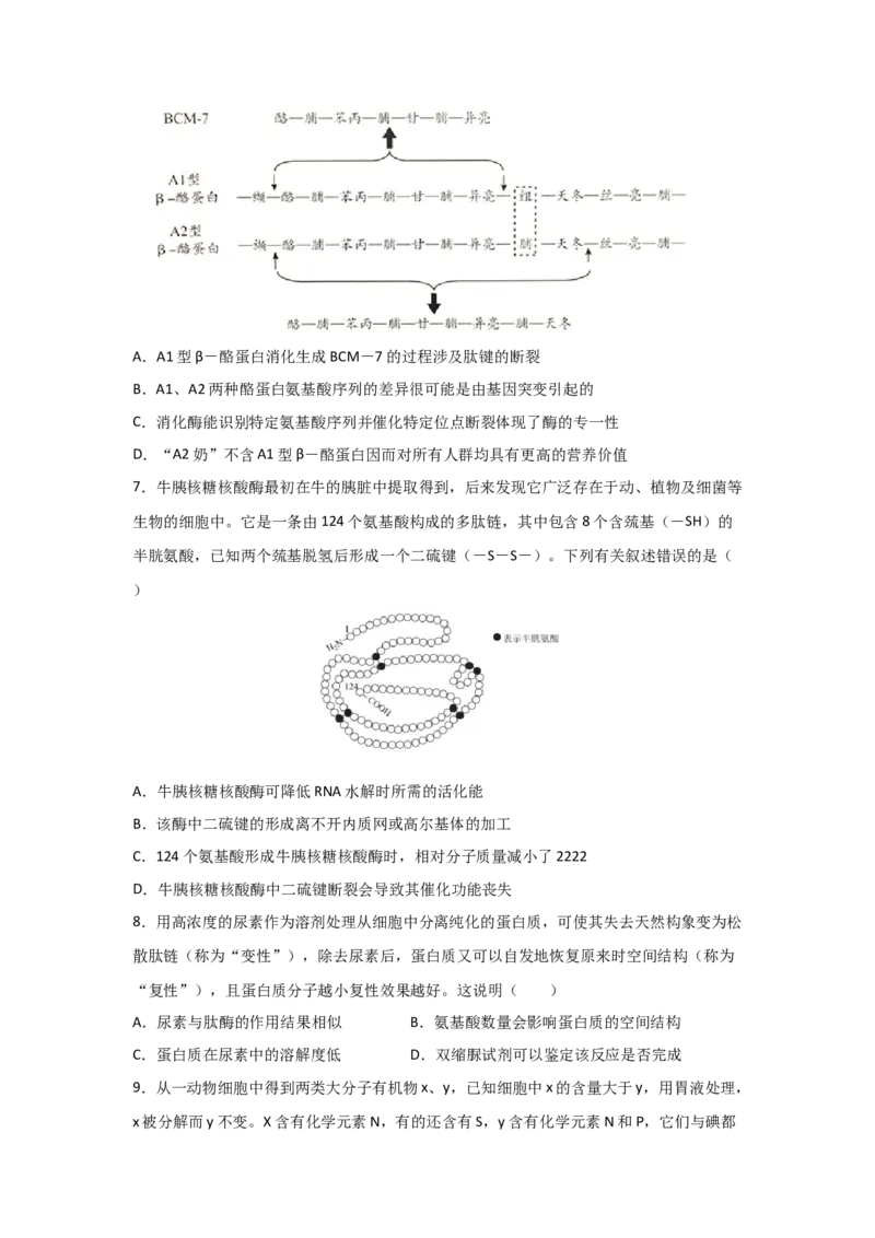 专题03蛋白质与核酸(学生版)_新高考复习资料_2023年新高考复习资料_二轮复习_增分要点2023高考生物二轮复习专题解读和分层训练291073137