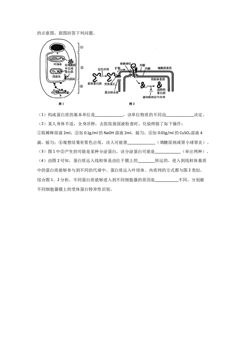 专题03蛋白质与核酸(学生版)_新高考复习资料_2023年新高考复习资料_二轮复习_增分要点2023高考生物二轮复习专题解读和分层训练291073137