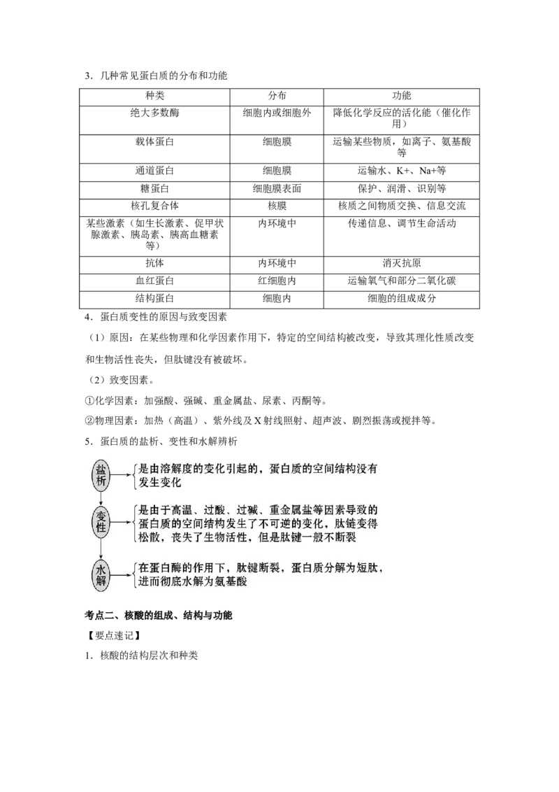 专题03蛋白质与核酸(学生版)_新高考复习资料_2023年新高考复习资料_二轮复习_增分要点2023高考生物二轮复习专题解读和分层训练291073137