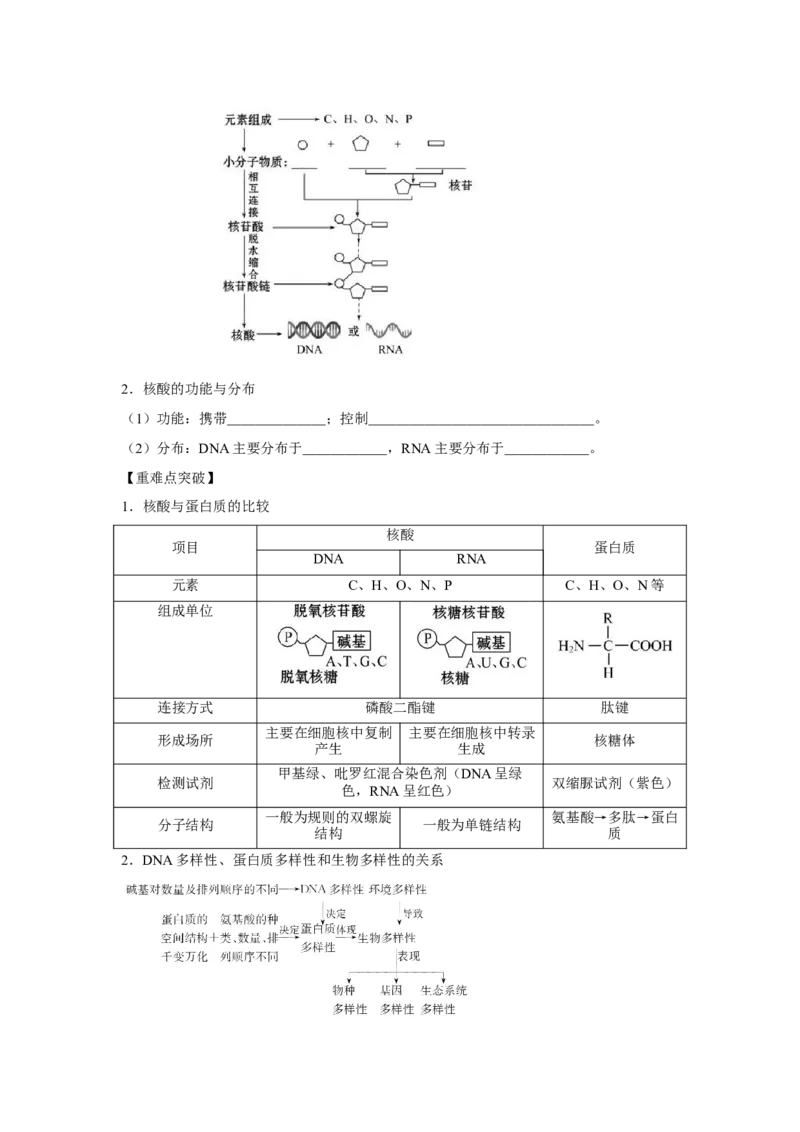 专题03蛋白质与核酸(学生版)_新高考复习资料_2023年新高考复习资料_二轮复习_增分要点2023高考生物二轮复习专题解读和分层训练291073137