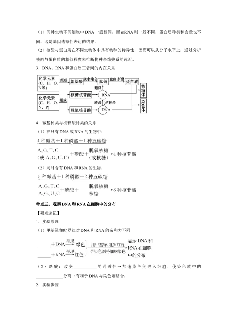 专题03蛋白质与核酸(学生版)_新高考复习资料_2023年新高考复习资料_二轮复习_增分要点2023高考生物二轮复习专题解读和分层训练291073137