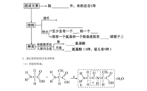 专题03蛋白质与核酸(学生版)_新高考复习资料_2023年新高考复习资料_二轮复习_增分要点2023高考生物二轮复习专题解读和分层训练291073137