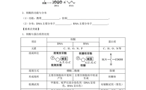 专题03蛋白质与核酸(学生版)_新高考复习资料_2023年新高考复习资料_二轮复习_增分要点2023高考生物二轮复习专题解读和分层训练291073137