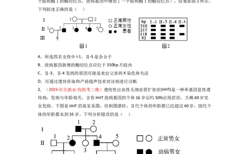 专题07伴性遗传与人类遗传病（原卷版）_新高考复习资料_2024年新高考复习资料_一轮复习资料_完备战2024年高考生物一轮复习重难点突破讲解与训练（新教材）