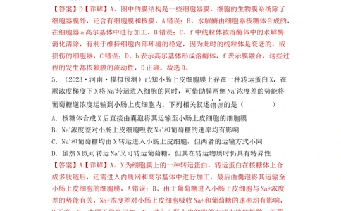 专题02细胞的基本结构和物质运输（解析版）_新高考复习资料_2024年新高考复习资料_一轮复习资料_完备战2024年高考生物一轮复习重难点突破讲解与训练（新教材）