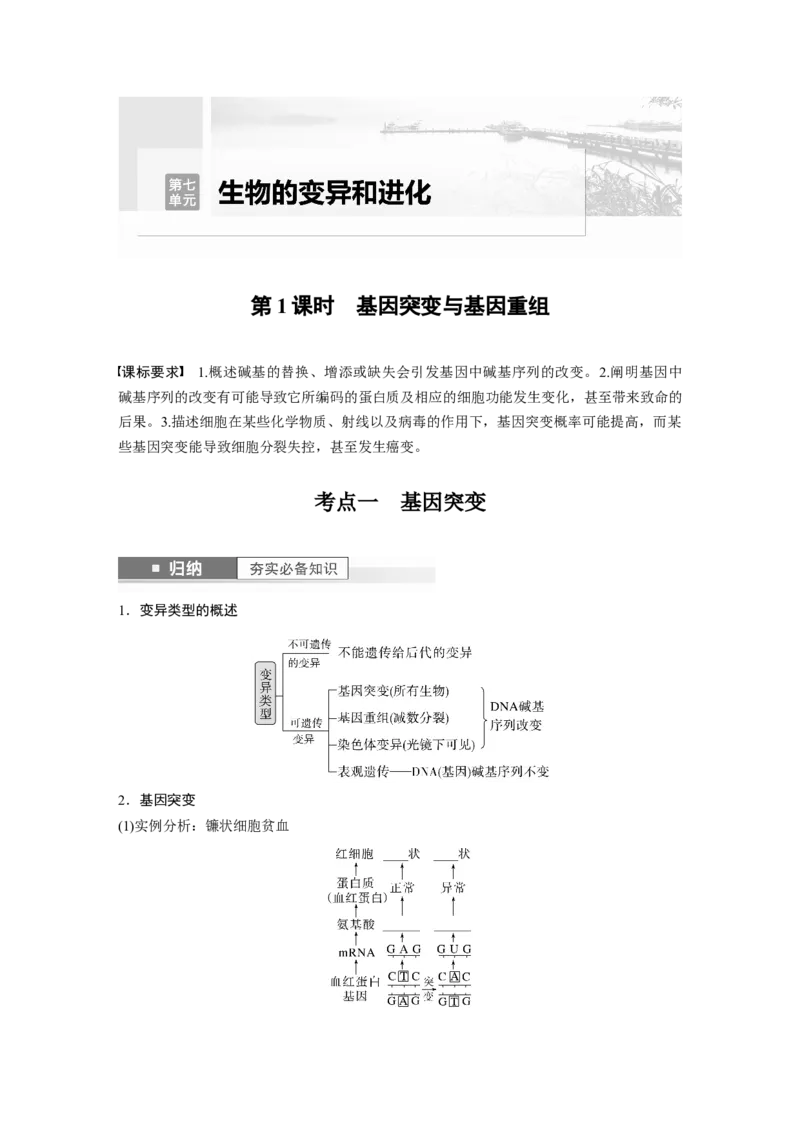第7单元　第1课时　基因突变与基因重组_2024年新高考资料_1.2024一轮复习_2024年高考生物一轮复习讲义（新人教版）_学生版在此文件夹_大一轮复习讲义_第七单元　生物的变异和进化