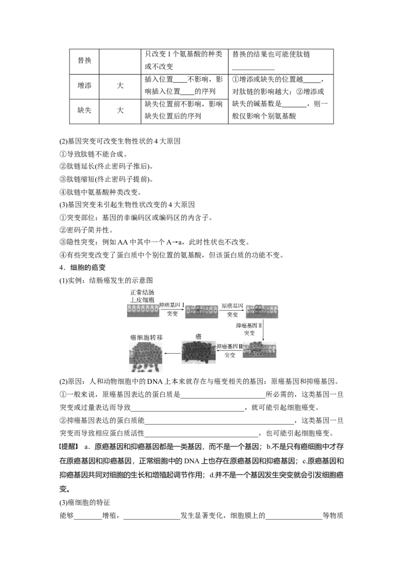 第7单元　第1课时　基因突变与基因重组_2024年新高考资料_1.2024一轮复习_2024年高考生物一轮复习讲义（新人教版）_学生版在此文件夹_大一轮复习讲义_第七单元　生物的变异和进化