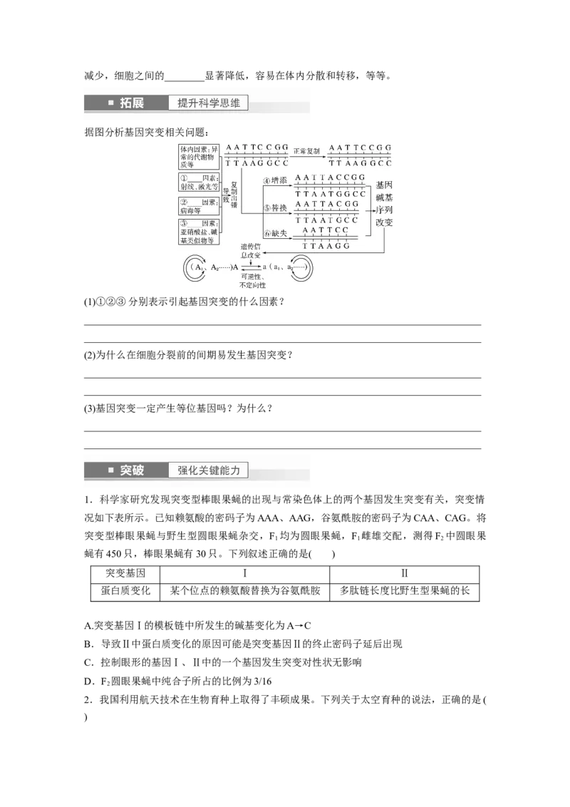 第7单元　第1课时　基因突变与基因重组_2024年新高考资料_1.2024一轮复习_2024年高考生物一轮复习讲义（新人教版）_学生版在此文件夹_大一轮复习讲义_第七单元　生物的变异和进化