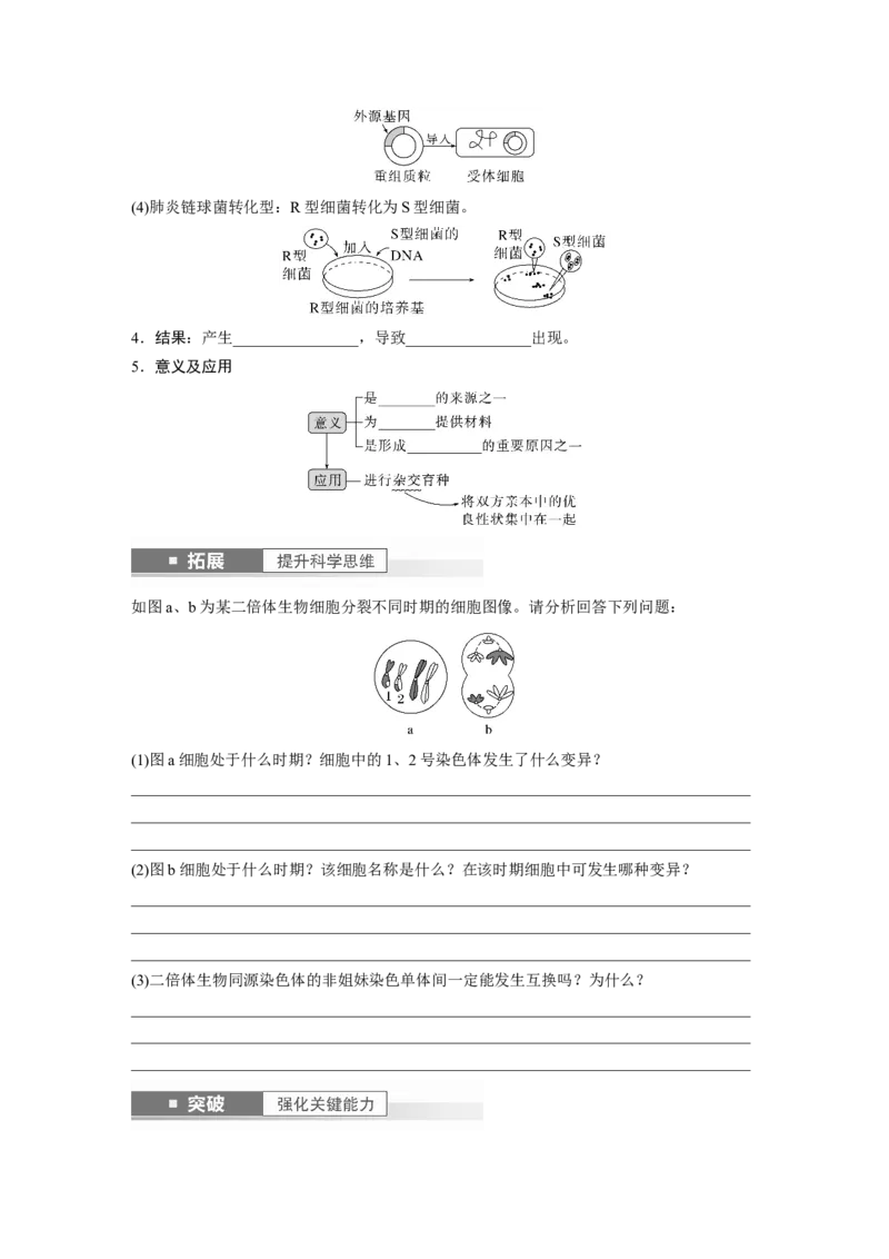 第7单元　第1课时　基因突变与基因重组_2024年新高考资料_1.2024一轮复习_2024年高考生物一轮复习讲义（新人教版）_学生版在此文件夹_大一轮复习讲义_第七单元　生物的变异和进化