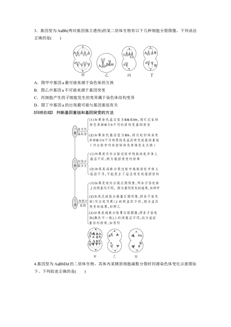 第7单元　第1课时　基因突变与基因重组_2024年新高考资料_1.2024一轮复习_2024年高考生物一轮复习讲义（新人教版）_学生版在此文件夹_大一轮复习讲义_第七单元　生物的变异和进化