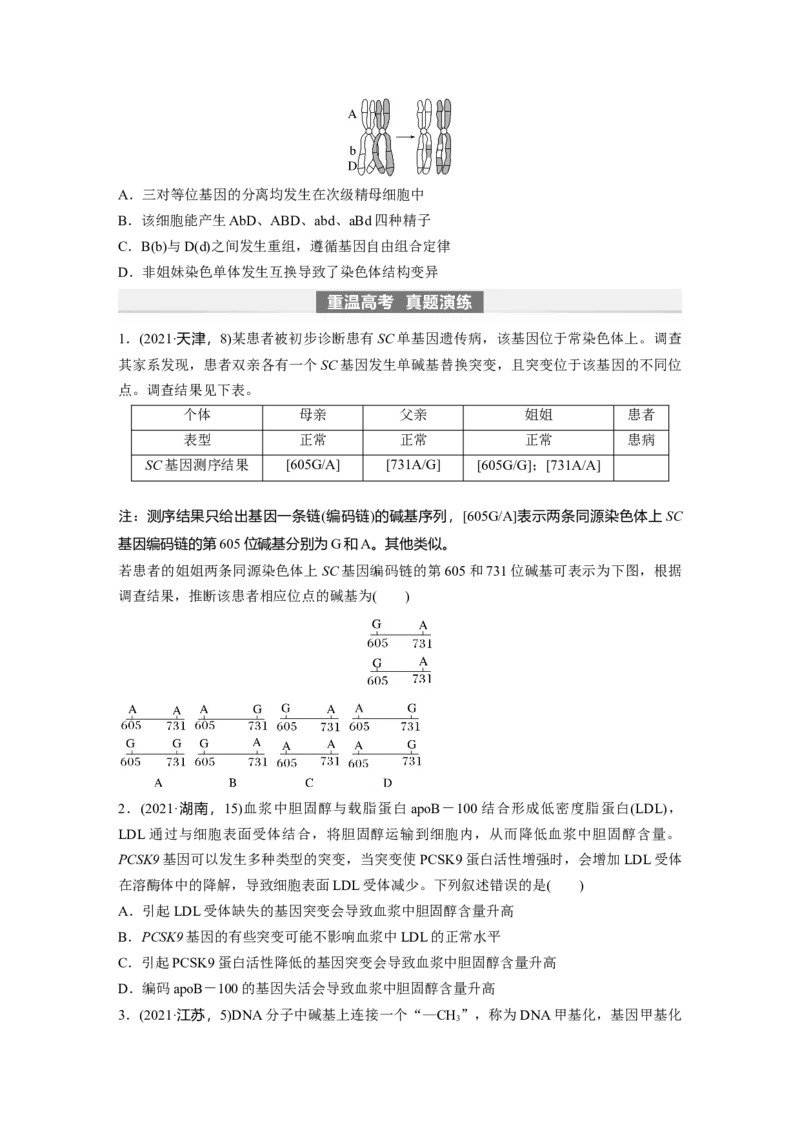 第7单元　第1课时　基因突变与基因重组_2024年新高考资料_1.2024一轮复习_2024年高考生物一轮复习讲义（新人教版）_学生版在此文件夹_大一轮复习讲义_第七单元　生物的变异和进化