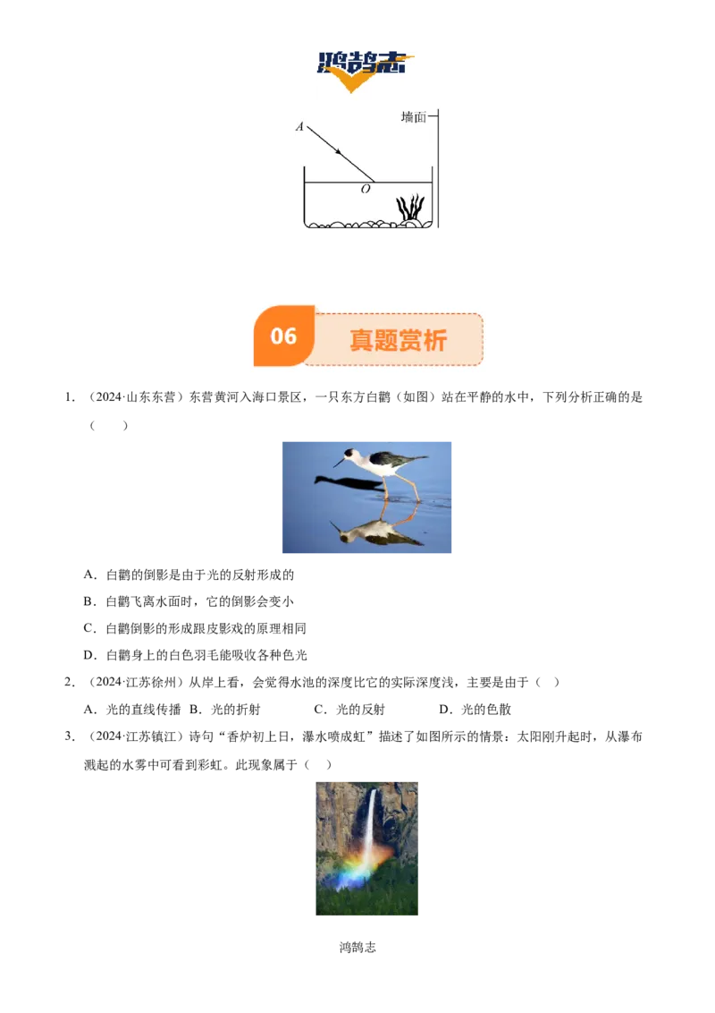 专题02光现象（5大模块知识清单+5个易混易错+3种方法技巧+典例真题精析）（原卷版）_8、物理总复习_物理一轮复习