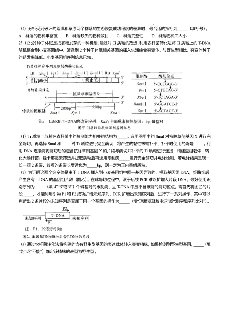 2025年高考山东卷生物试卷原卷_历年全国高考真题_2025全国各省高考真题+答案_山东卷_生物