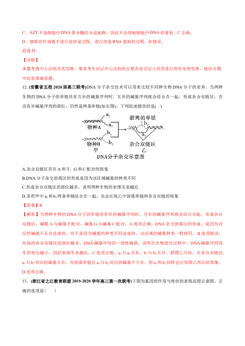 专题07DNA的结构、复制及基因表达-2020年高考真题和模拟题生物分项汇编（教师版含解析）_新高考复习资料_2022年新高考复习资料_2022年一轮复习最新版