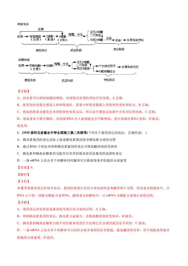 专题07DNA的结构、复制及基因表达-2020年高考真题和模拟题生物分项汇编（教师版含解析）_新高考复习资料_2022年新高考复习资料_2022年一轮复习最新版