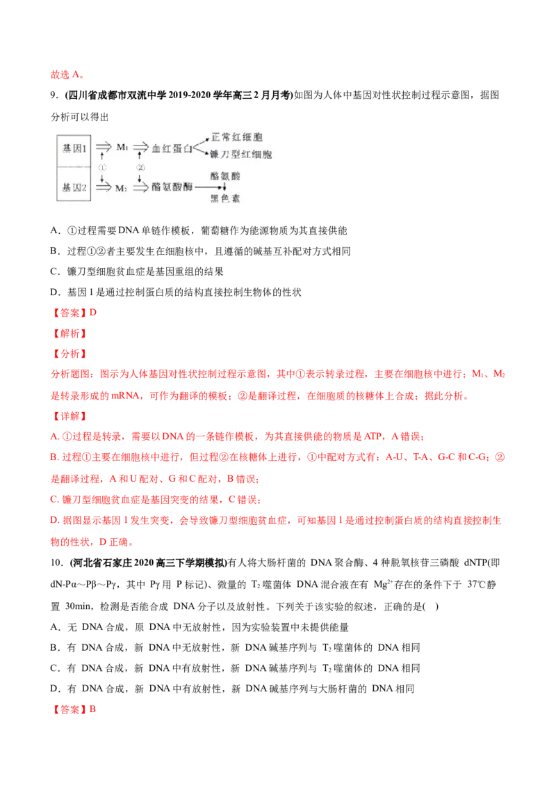 专题07DNA的结构、复制及基因表达-2020年高考真题和模拟题生物分项汇编（教师版含解析）_新高考复习资料_2022年新高考复习资料_2022年一轮复习最新版