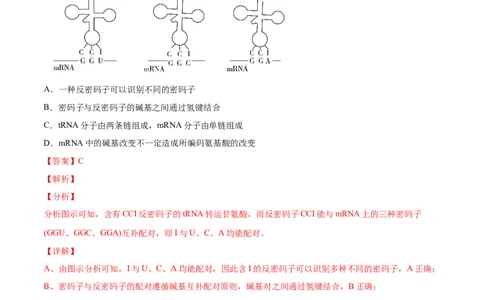专题07DNA的结构、复制及基因表达-2020年高考真题和模拟题生物分项汇编（教师版含解析）_新高考复习资料_2022年新高考复习资料_2022年一轮复习最新版