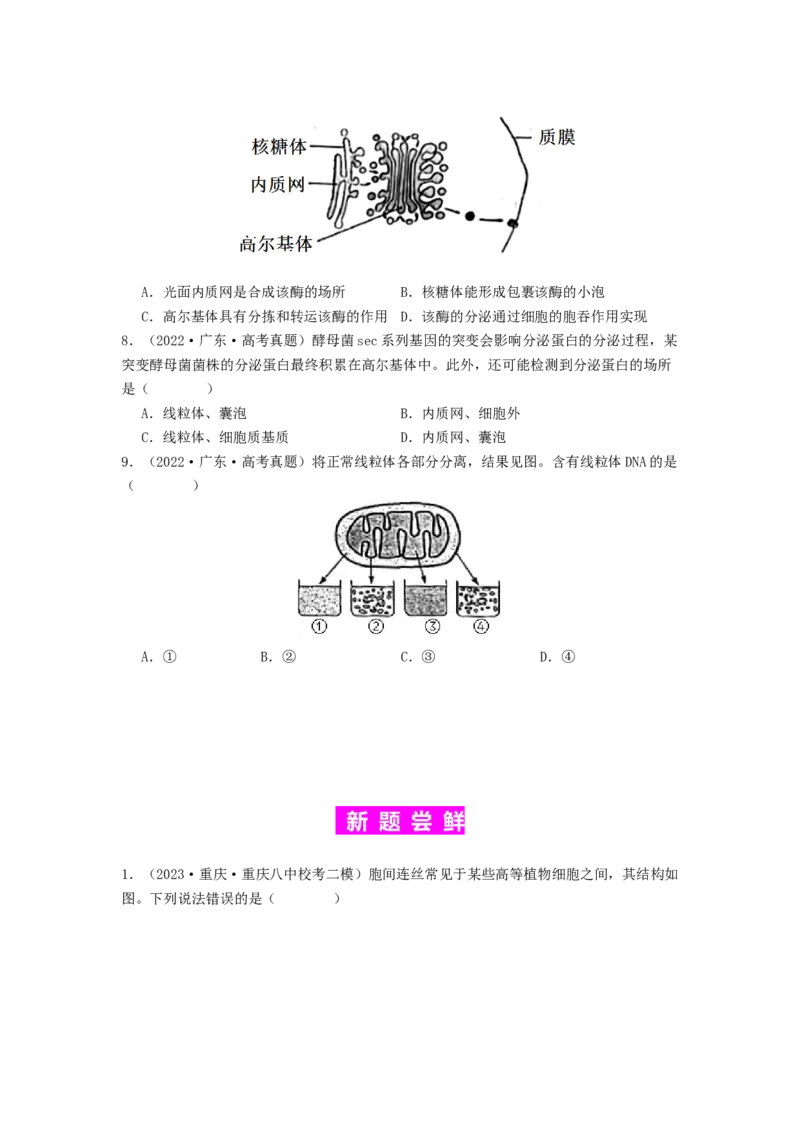 专题06细胞器（原卷版）_通用版（老高考）复习资料_2024年复习资料_完备战2024年高考生物一轮复习抢分特训（全国通用）