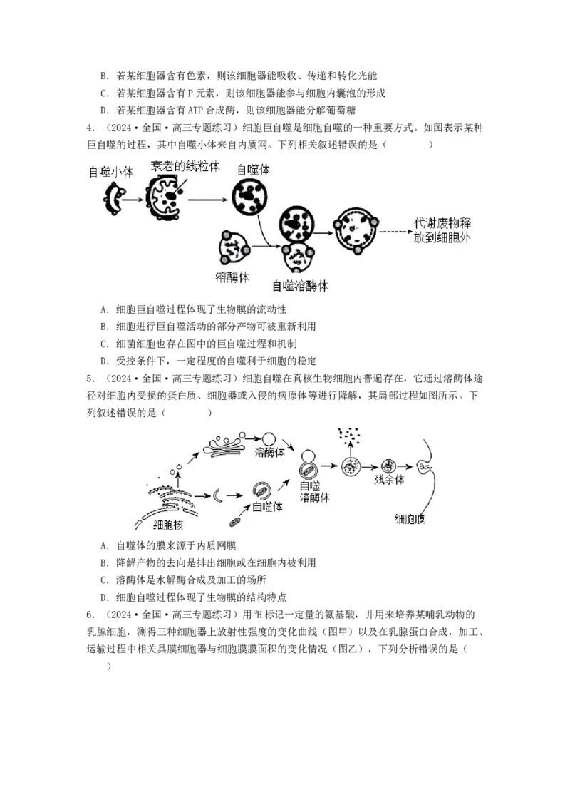 专题06细胞器（原卷版）_通用版（老高考）复习资料_2024年复习资料_完备战2024年高考生物一轮复习抢分特训（全国通用）