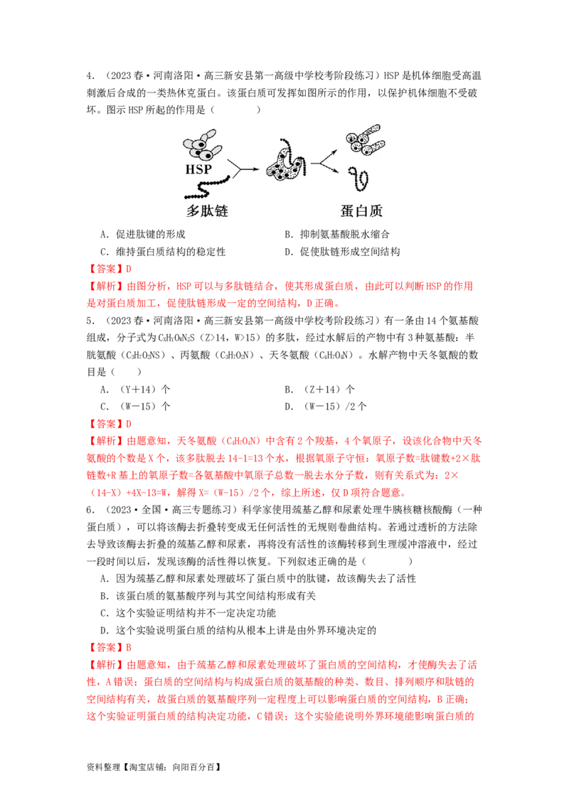 专题03蛋白质（解析版）_通用版（老高考）复习资料_2024年复习资料_完备战2024年高考生物一轮复习抢分特训（全国通用）_教师版（含答案解析）
