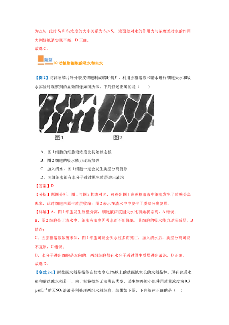 专题03细胞的物质运输（4大题型）（解析版）_2025年新高考资料_一轮复习_备战2025年高考生物一轮复习题型全覆盖（新高考通用）