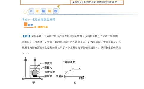 专题03细胞的物质运输（4大题型）（解析版）_2025年新高考资料_一轮复习_备战2025年高考生物一轮复习题型全覆盖（新高考通用）