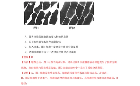 专题03细胞的物质运输（4大题型）（解析版）_2025年新高考资料_一轮复习_备战2025年高考生物一轮复习题型全覆盖（新高考通用）