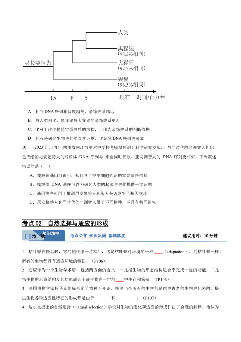 考点通关卷24生物的进化（原卷版）_2024年新高考资料_1.2024一轮复习_2024年高考生物一轮复习考点通关卷（新高考通用）_考点通关卷24+生物的进化-2024年高考生物一轮复习考点通关卷