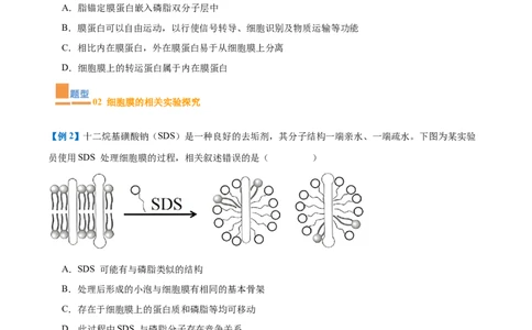 专题02细胞的基本结构（9大题型）（原卷版）_2025年新高考资料_一轮复习_备战2025年高考生物一轮复习题型全覆盖（新高考通用）