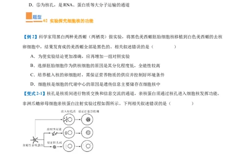 专题02细胞的基本结构（9大题型）（原卷版）_2025年新高考资料_一轮复习_备战2025年高考生物一轮复习题型全覆盖（新高考通用）