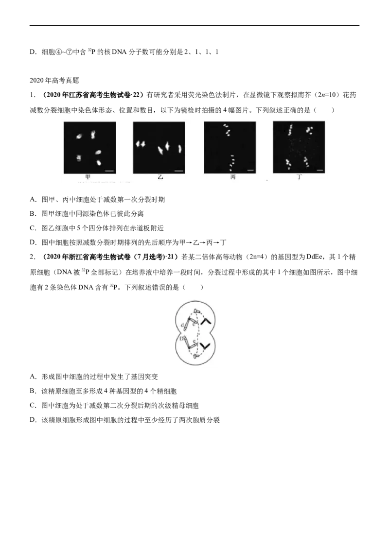 专题06减数分裂及受精作用（练）-2023年高考生物二轮复习讲练测（全国通用）（原卷版）_通用版（老高考）复习资料_2023年复习资料_二轮复习_2023年高考生物二轮复习讲练测（全国通用）