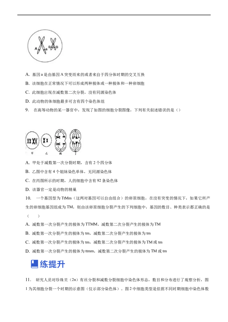 专题06减数分裂及受精作用（练）-2023年高考生物二轮复习讲练测（全国通用）（原卷版）_通用版（老高考）复习资料_2023年复习资料_二轮复习_2023年高考生物二轮复习讲练测（全国通用）