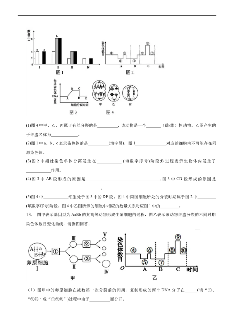 专题06减数分裂及受精作用（练）-2023年高考生物二轮复习讲练测（全国通用）（原卷版）_通用版（老高考）复习资料_2023年复习资料_二轮复习_2023年高考生物二轮复习讲练测（全国通用）