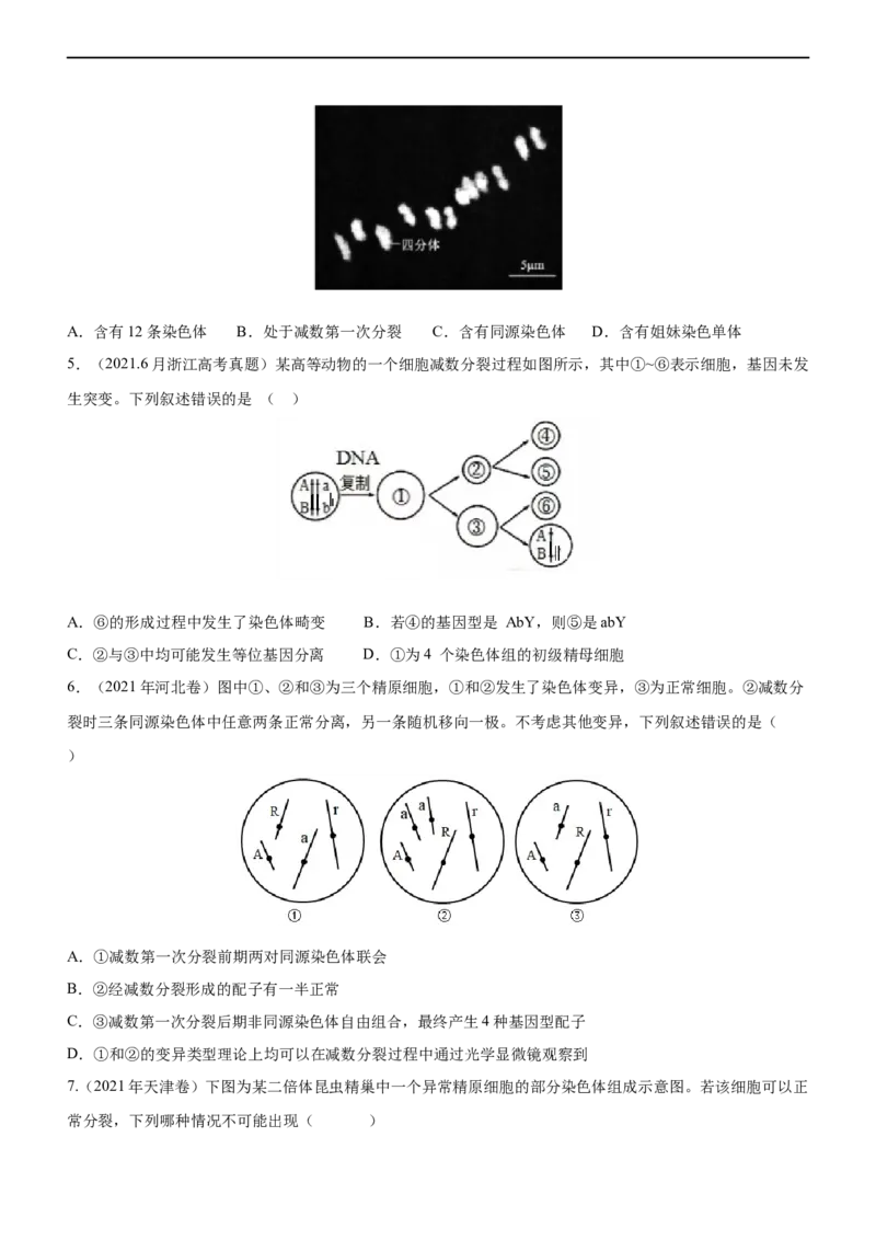 专题06减数分裂及受精作用（练）-2023年高考生物二轮复习讲练测（全国通用）（原卷版）_通用版（老高考）复习资料_2023年复习资料_二轮复习_2023年高考生物二轮复习讲练测（全国通用）