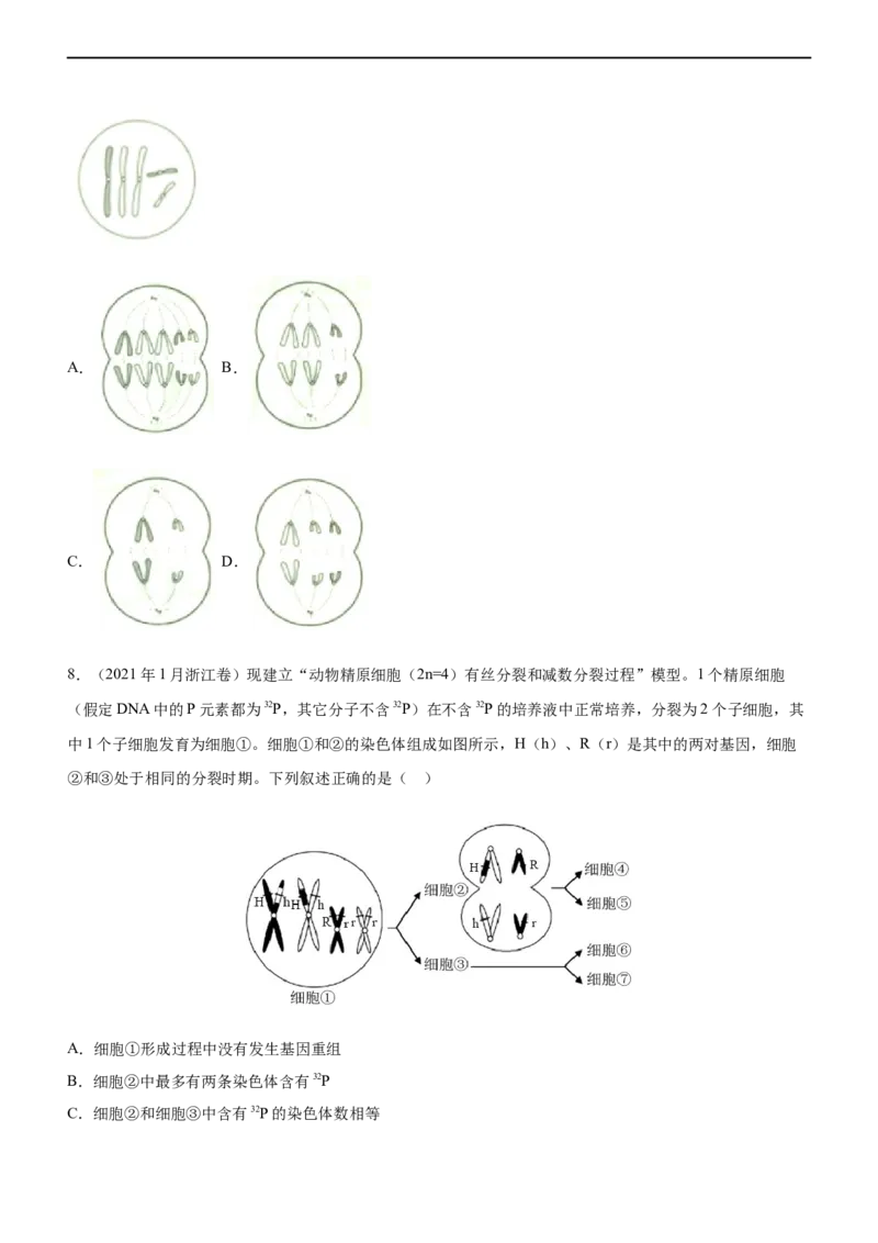 专题06减数分裂及受精作用（练）-2023年高考生物二轮复习讲练测（全国通用）（原卷版）_通用版（老高考）复习资料_2023年复习资料_二轮复习_2023年高考生物二轮复习讲练测（全国通用）