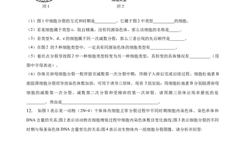 专题06减数分裂及受精作用（练）-2023年高考生物二轮复习讲练测（全国通用）（原卷版）_通用版（老高考）复习资料_2023年复习资料_二轮复习_2023年高考生物二轮复习讲练测（全国通用）