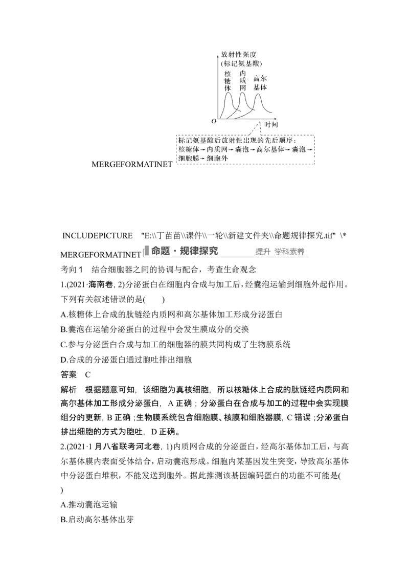 第5讲细胞器之间的分工合作_2024年新高考资料_1.2024一轮复习_2024年高考生物一轮复习讲义（新人教版）_另附1套Word版题库_必修1_第二单元细胞的基本结构与物质运输