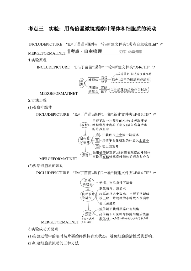第5讲细胞器之间的分工合作_2024年新高考资料_1.2024一轮复习_2024年高考生物一轮复习讲义（新人教版）_另附1套Word版题库_必修1_第二单元细胞的基本结构与物质运输
