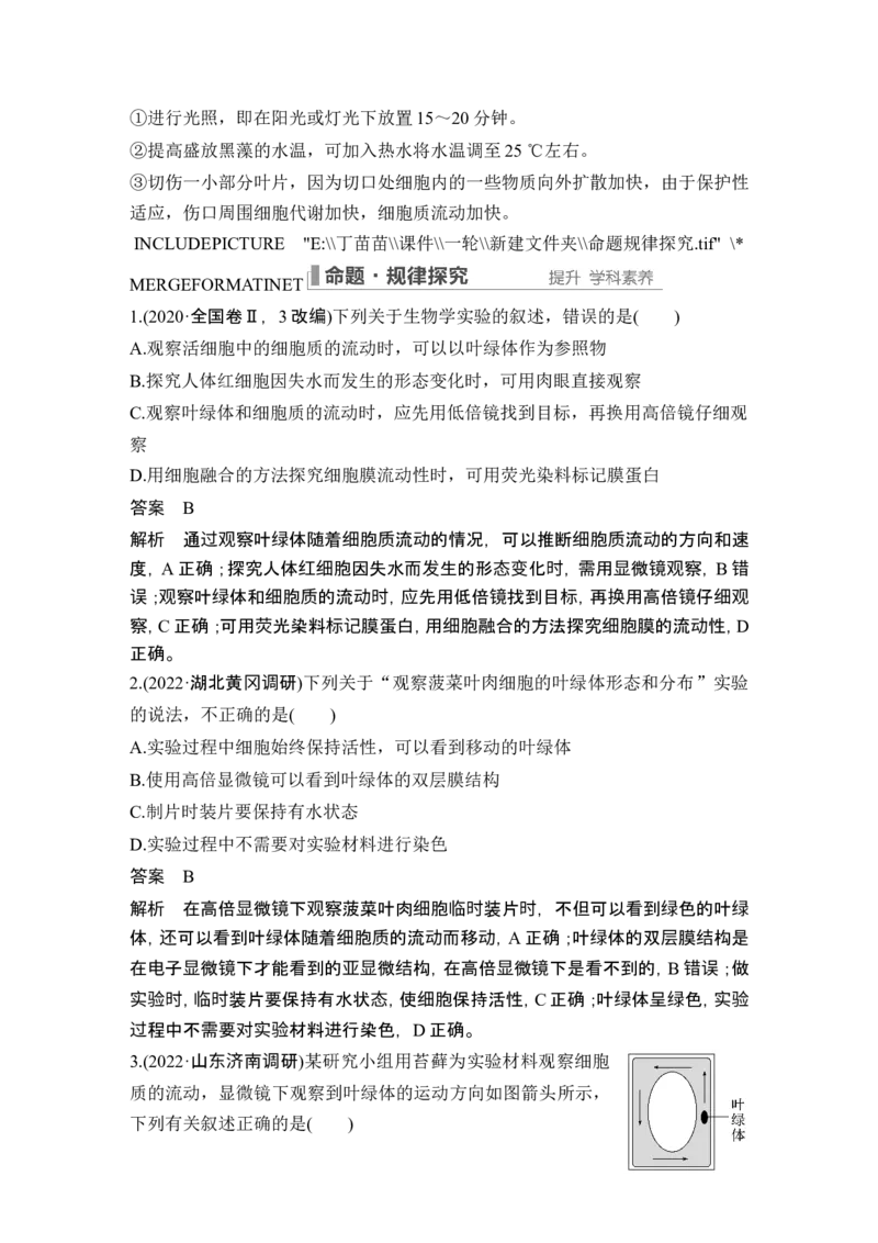 第5讲细胞器之间的分工合作_2024年新高考资料_1.2024一轮复习_2024年高考生物一轮复习讲义（新人教版）_另附1套Word版题库_必修1_第二单元细胞的基本结构与物质运输