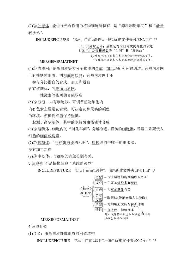 第5讲细胞器之间的分工合作_2024年新高考资料_1.2024一轮复习_2024年高考生物一轮复习讲义（新人教版）_另附1套Word版题库_必修1_第二单元细胞的基本结构与物质运输