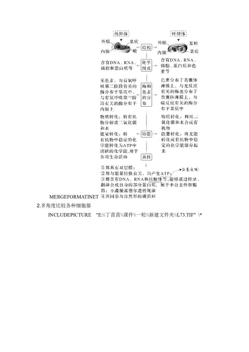 第5讲细胞器之间的分工合作_2024年新高考资料_1.2024一轮复习_2024年高考生物一轮复习讲义（新人教版）_另附1套Word版题库_必修1_第二单元细胞的基本结构与物质运输