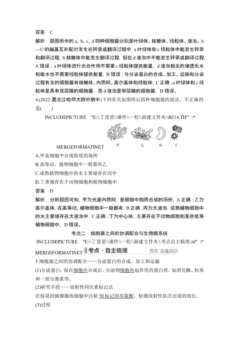 第5讲细胞器之间的分工合作_2024年新高考资料_1.2024一轮复习_2024年高考生物一轮复习讲义（新人教版）_另附1套Word版题库_必修1_第二单元细胞的基本结构与物质运输