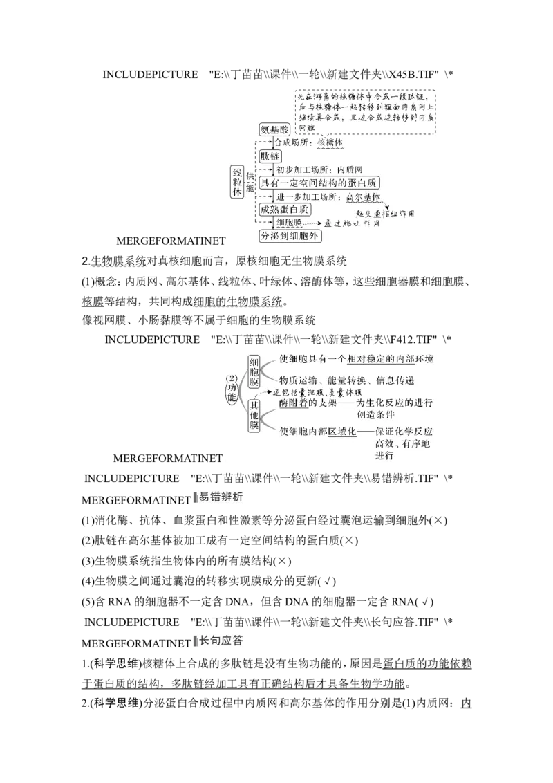 第5讲细胞器之间的分工合作_2024年新高考资料_1.2024一轮复习_2024年高考生物一轮复习讲义（新人教版）_另附1套Word版题库_必修1_第二单元细胞的基本结构与物质运输